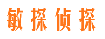 高县捉小三公司